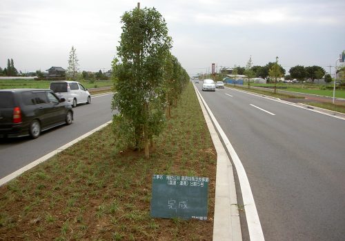 国道354号BP植栽工事｜群馬県太田市｜造園工事