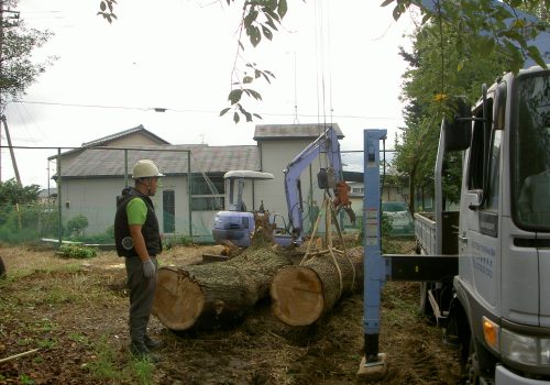 強戸小学校 倒木処理|群馬県太田市