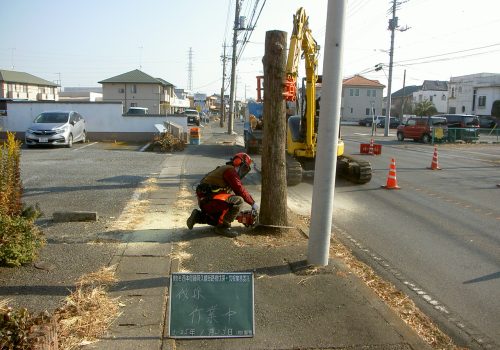 街路樹伐採・抜根|群馬県太田市